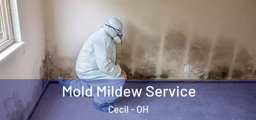  Mold Mildew Service Cecil - OH