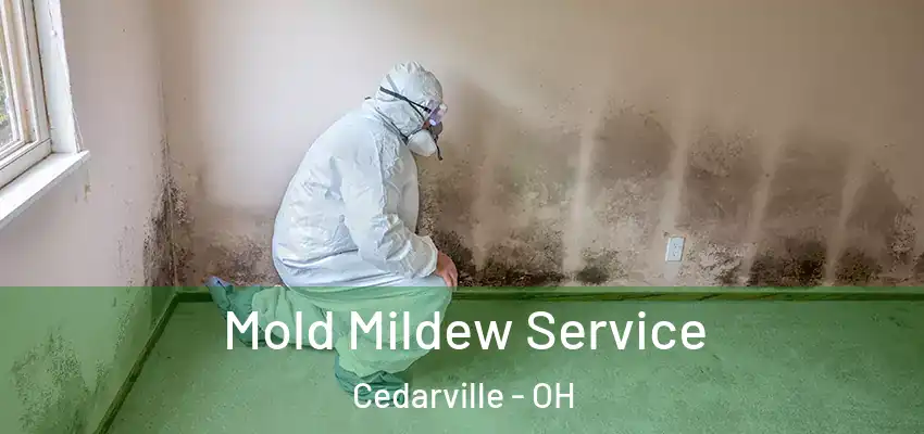 Mold Mildew Service Cedarville - OH