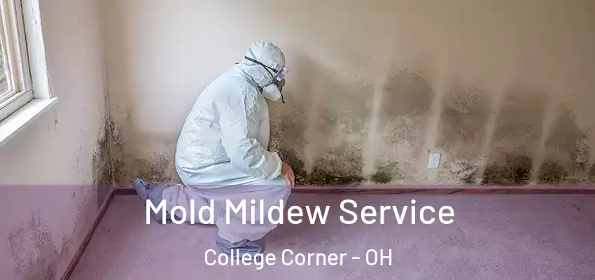  Mold Mildew Service College Corner - OH