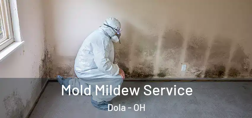  Mold Mildew Service Dola - OH