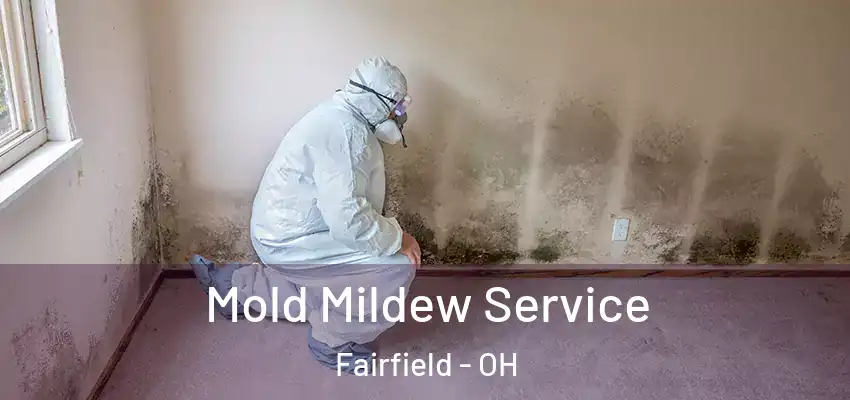  Mold Mildew Service Fairfield - OH