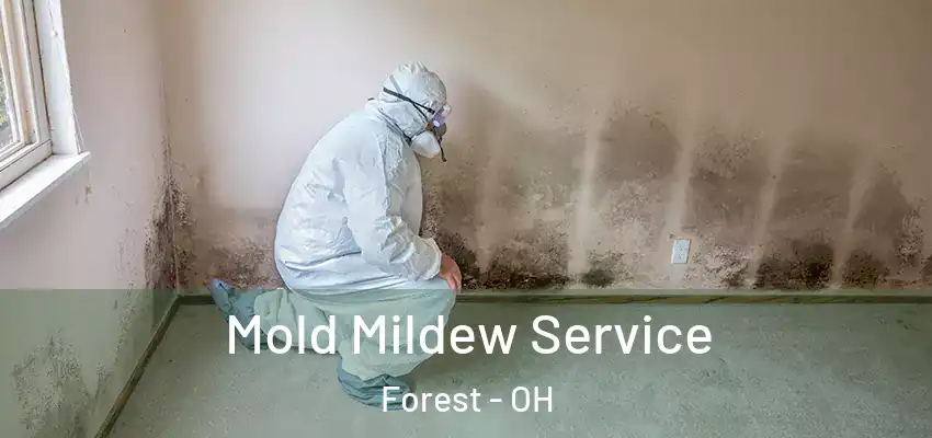  Mold Mildew Service Forest - OH