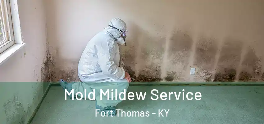  Mold Mildew Service Fort Thomas - KY