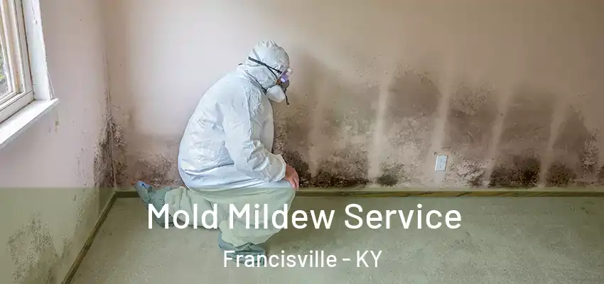  Mold Mildew Service Francisville - KY