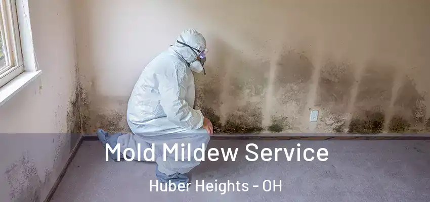 Mold Mildew Service Huber Heights - OH