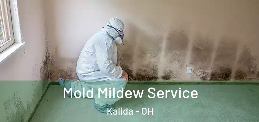 Mold Mildew Service Kalida - OH