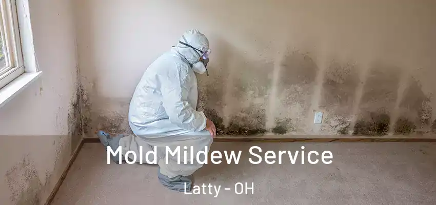  Mold Mildew Service Latty - OH
