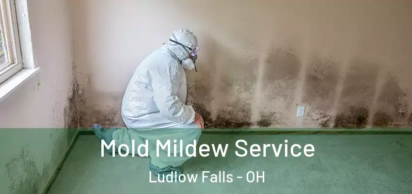 Mold Mildew Service Ludlow Falls - OH