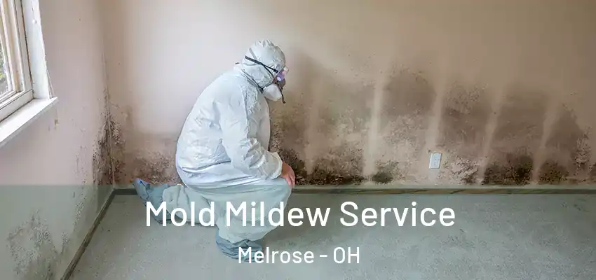  Mold Mildew Service Melrose - OH