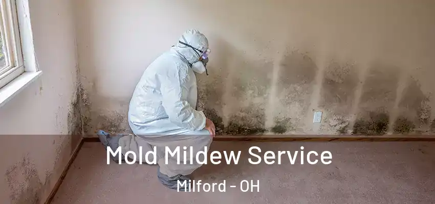 Mold Mildew Service Milford - OH