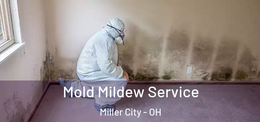  Mold Mildew Service Miller City - OH