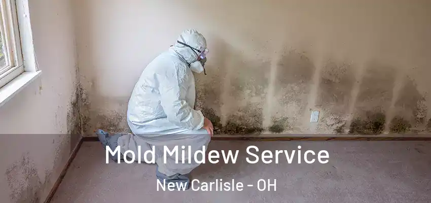 Mold Mildew Service New Carlisle - OH