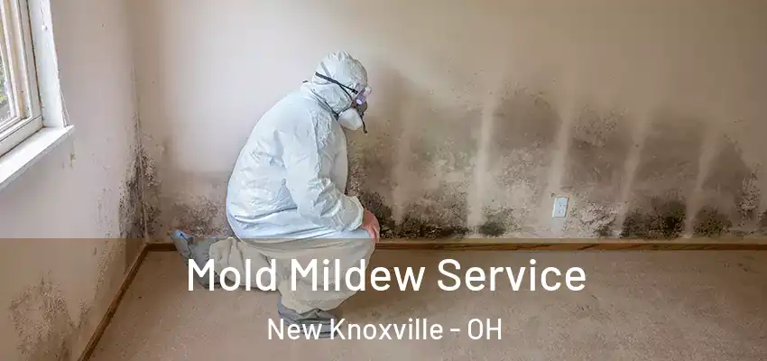  Mold Mildew Service New Knoxville - OH