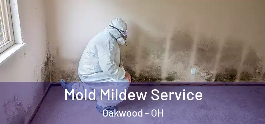 Mold Mildew Service Oakwood - OH