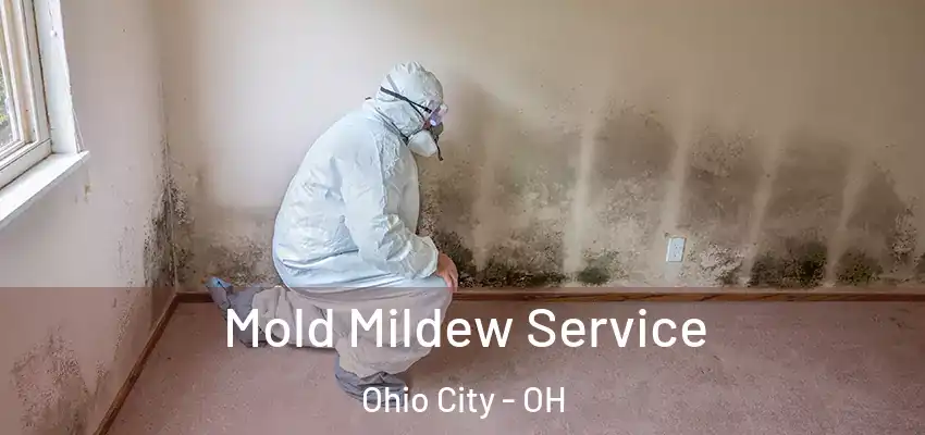  Mold Mildew Service Ohio City - OH