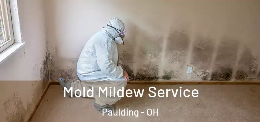  Mold Mildew Service Paulding - OH