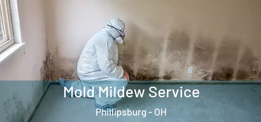  Mold Mildew Service Phillipsburg - OH