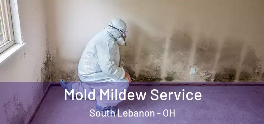  Mold Mildew Service South Lebanon - OH