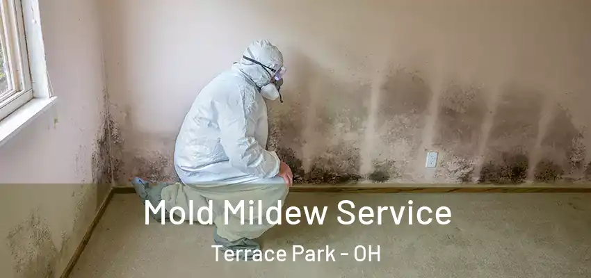  Mold Mildew Service Terrace Park - OH