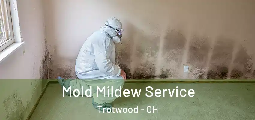 Mold Mildew Service Trotwood - OH
