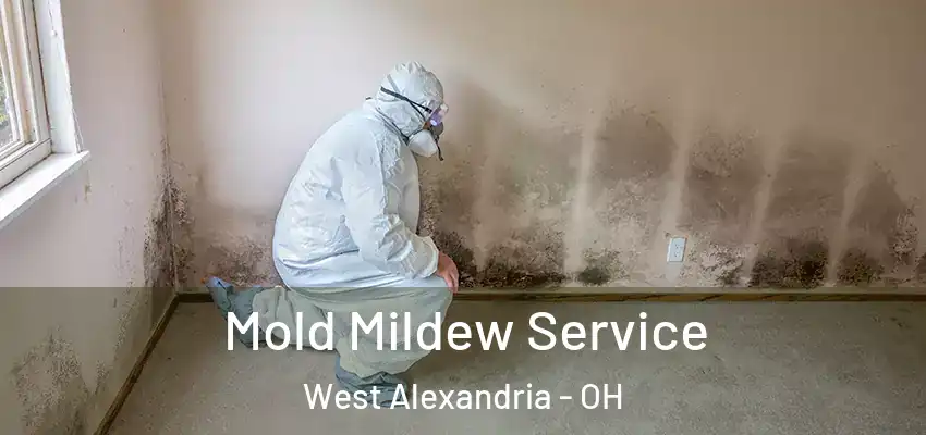 Mold Mildew Service West Alexandria - OH
