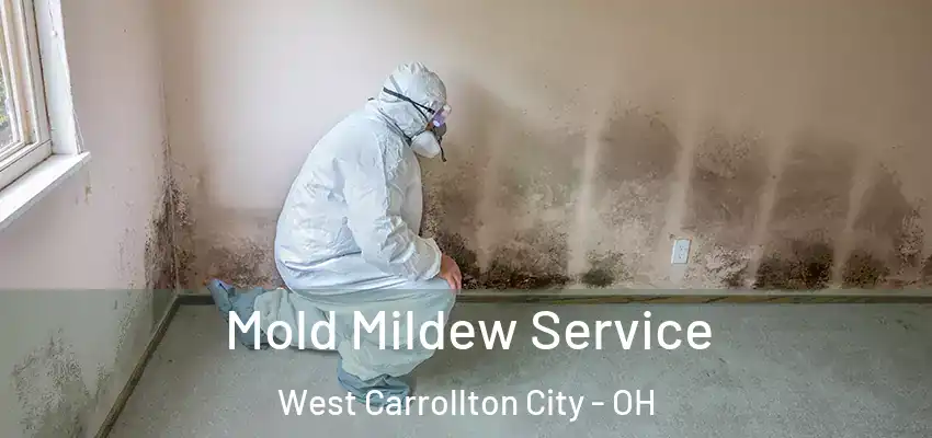  Mold Mildew Service West Carrollton City - OH