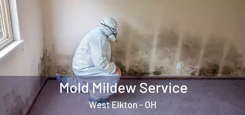  Mold Mildew Service West Elkton - OH