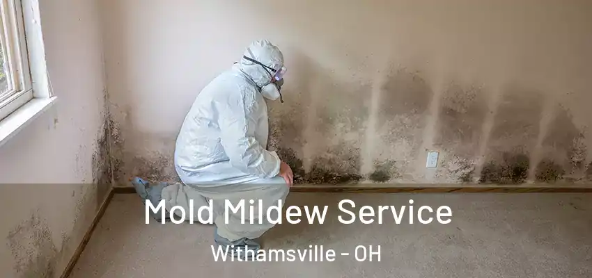 Mold Mildew Service Withamsville - OH