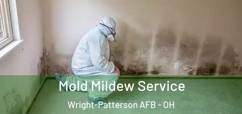  Mold Mildew Service Wright-Patterson AFB - OH