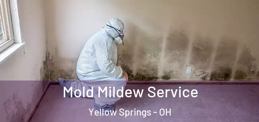  Mold Mildew Service Yellow Springs - OH