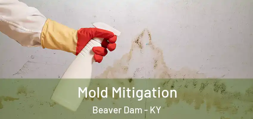  Mold Mitigation Beaver Dam - KY