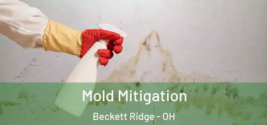  Mold Mitigation Beckett Ridge - OH