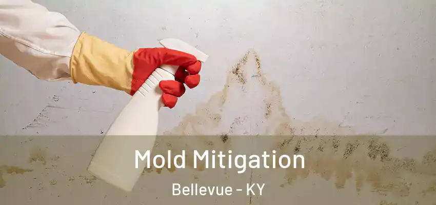  Mold Mitigation Bellevue - KY