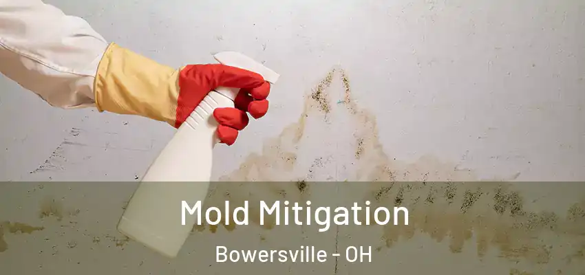  Mold Mitigation Bowersville - OH
