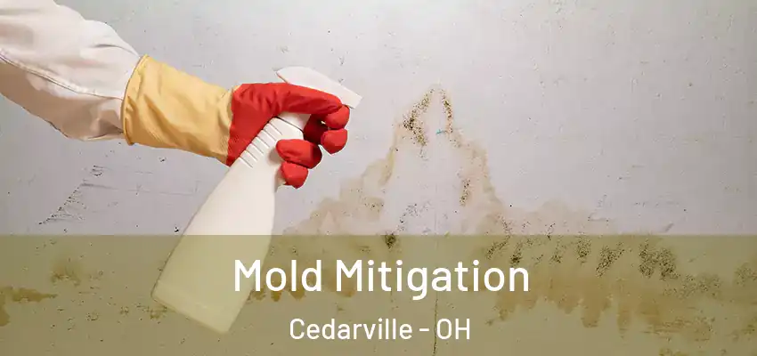  Mold Mitigation Cedarville - OH