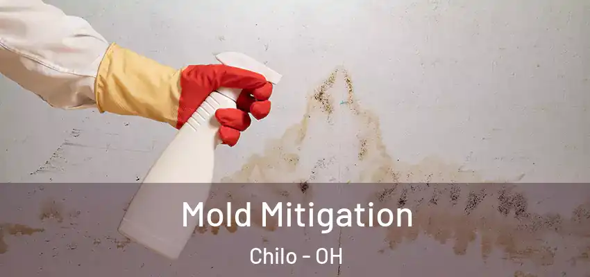  Mold Mitigation Chilo - OH