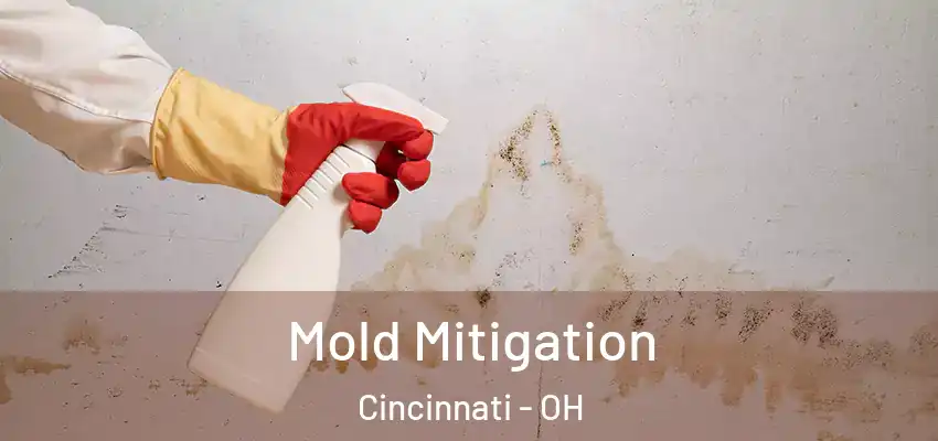  Mold Mitigation Cincinnati - OH