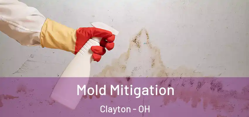  Mold Mitigation Clayton - OH