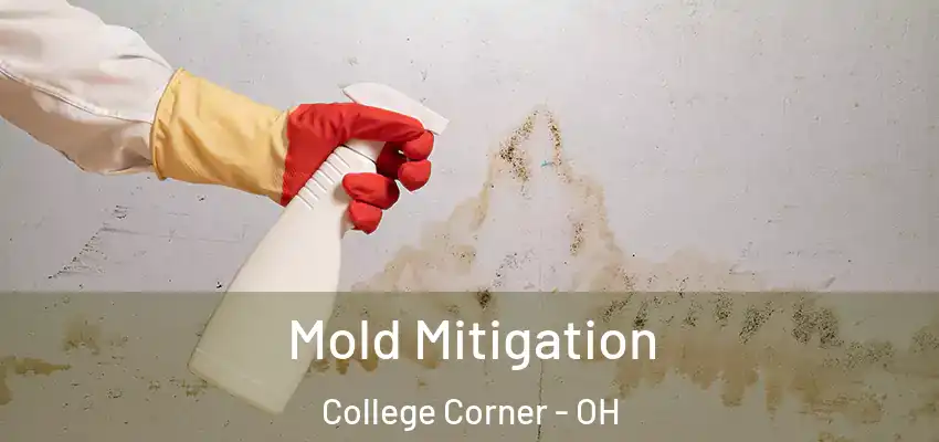  Mold Mitigation College Corner - OH