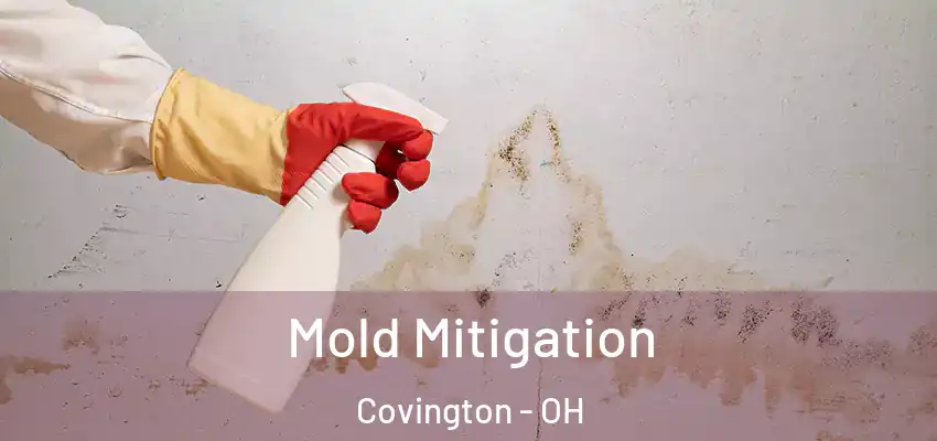 Mold Mitigation Covington - OH