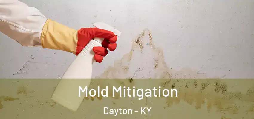  Mold Mitigation Dayton - KY