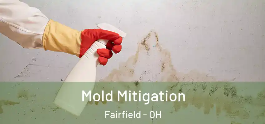  Mold Mitigation Fairfield - OH