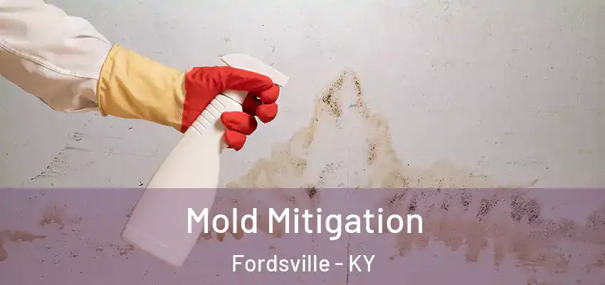  Mold Mitigation Fordsville - KY