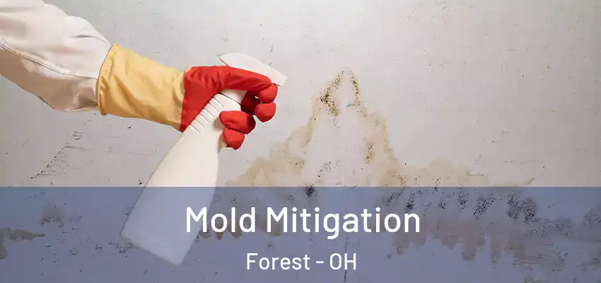  Mold Mitigation Forest - OH