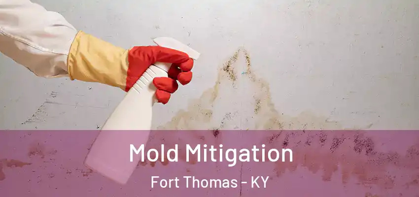 Mold Mitigation Fort Thomas - KY
