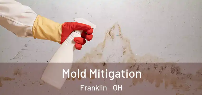  Mold Mitigation Franklin - OH