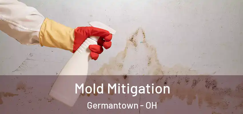  Mold Mitigation Germantown - OH
