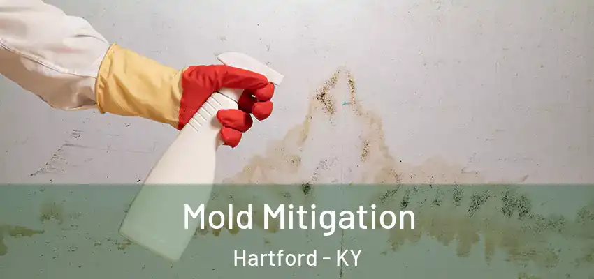  Mold Mitigation Hartford - KY