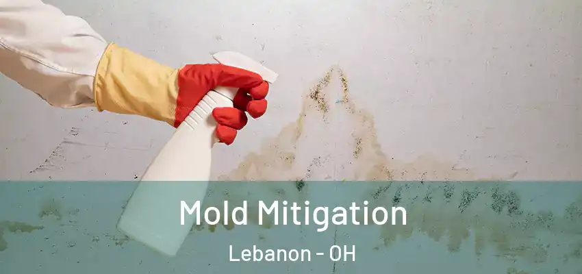 Mold Mitigation Lebanon - OH