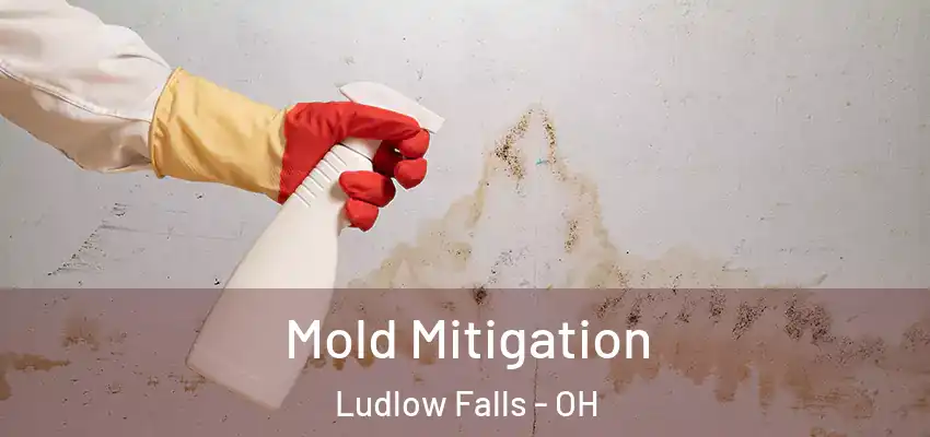  Mold Mitigation Ludlow Falls - OH
